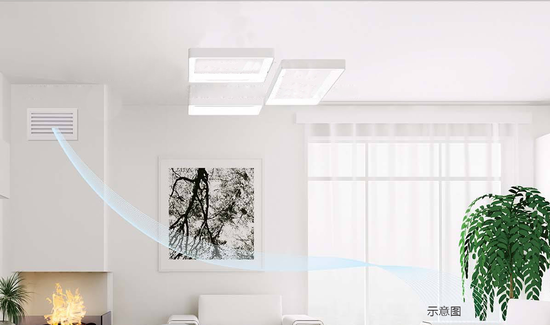 12460911.png 12460911.png